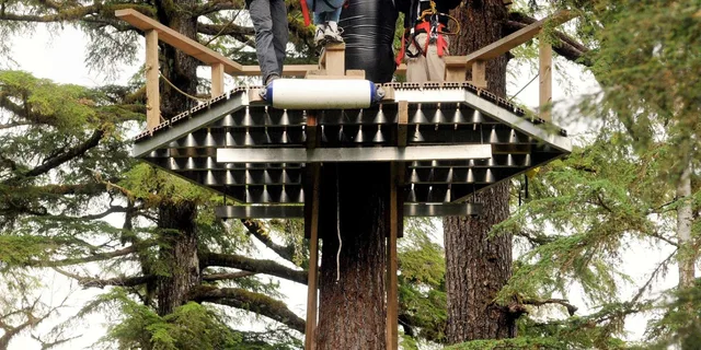 Ketchikan Rainforest Canopy Zipline Adventure - Image 1