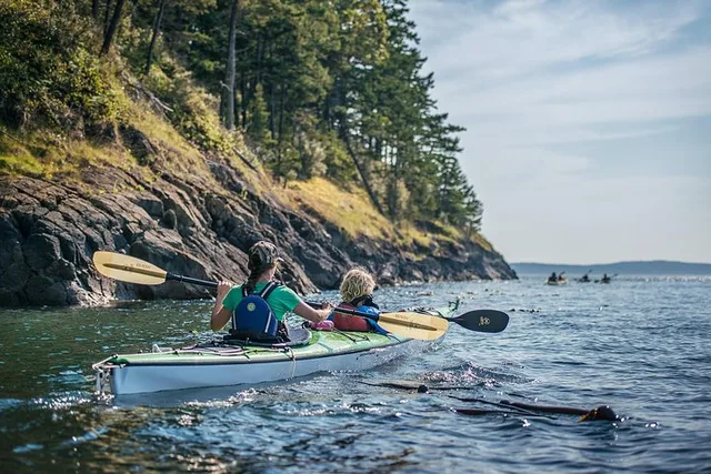 San Juan Islands Sea Kayak Tour - Image 5