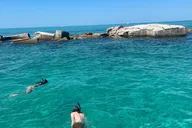 St. Petersburg Snorkeling & Shelling Tour 2.5 Hr thumbnail 1