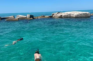 St. Petersburg Snorkeling & Shelling Tour 2.5 Hr