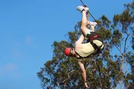 Maui Zipline Tour for Pride Of America Passengers thumbnail 2