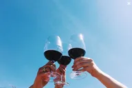 San Diego Valle de Guadalupe Winery Tour thumbnail 2