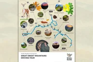 Great Smoky Mountains National Park Audio Tour thumbnail 4