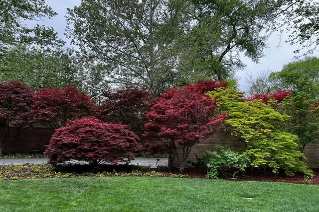 Dallas Arboretum and Botanical Gardens Tour - Image 5