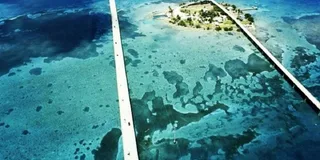 Miami Key West Day Tour