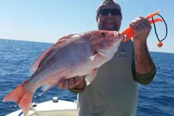 Orlando Deep Sea Fishing Charter thumbnail 5