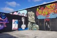 Miami City Tour of Wynwood and Little Havana thumbnail 3