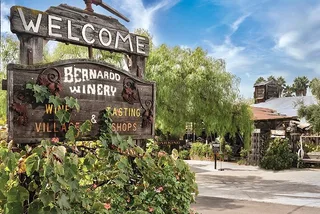 San Diego Wine Tour Private 5 hr