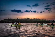 Sarasota Clear Kayak LED Night Tour thumbnail 6