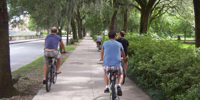 Savannah Bike Tour of Must-See Sights - Image 1