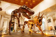 Los Angeles Natural History Museum Admission thumbnail 3