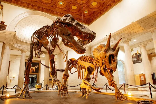 Los Angeles Natural History Museum Admission - Image 3