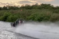 Everglades Airboat Adventure 90 Min thumbnail 3