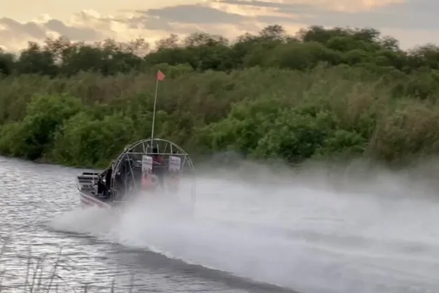 Everglades Airboat Adventure 90 Min - Image 3