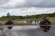 Orlando Dune Buggy Tour thumbnail 5