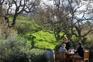 Santa Barbara Wine Country Tour thumbnail 2