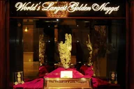 Las Vegas Night Tour in Mercedes-Benz Sprinter thumbnail 5