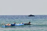Maui Surf Lessons with Experienced Coaches thumbnail 5