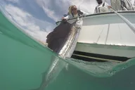 Miami Deep Sea Fishing Charter thumbnail 3