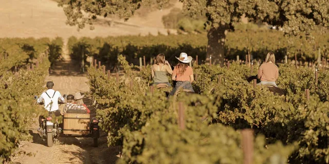 San Luis Obispo Sidecar Wine Adventure - Image 5
