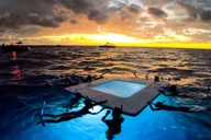 Kailua-Kona Manta Ray Night Snorkel Tour thumbnail 5