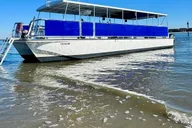 Hilton Head Island Dolphin and Disappearing Island Tour thumbnail 2