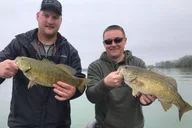 Erie Smallmouth Bass Fishing Charter thumbnail 3