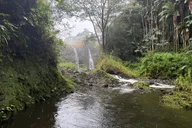 Hilo Waterfalls Hike and Swim with Native Hawaiian thumbnail 4