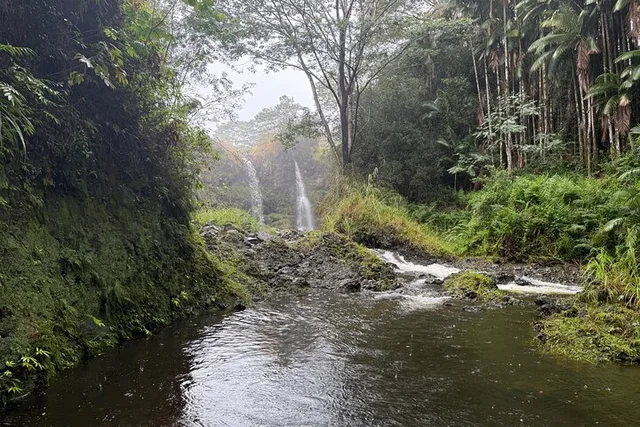 Hilo Waterfalls Hike and Swim with Native Hawaiian - Image 4