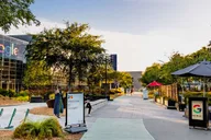 San Francisco Silicon Valley Private Tour 6 hr thumbnail 2