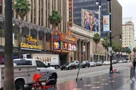 Los Angeles Private Tour of Hollywood and Beaches thumbnail 3
