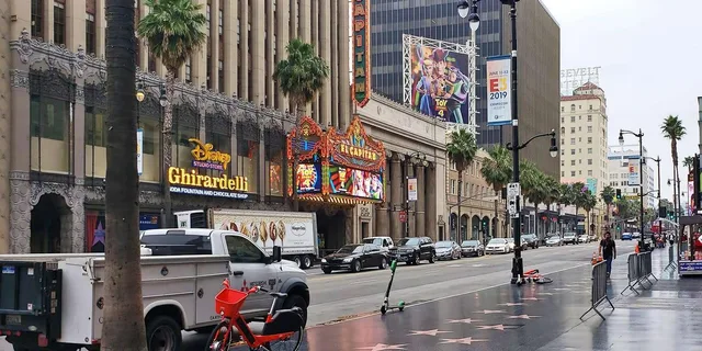 Los Angeles Private Tour of Hollywood and Beaches - Image 3