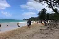 Oahu Waterfall Hike and East Side Beach Day thumbnail 6