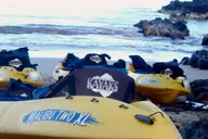 Maui Turtle Town Kayak and Snorkel Tour thumbnail 5