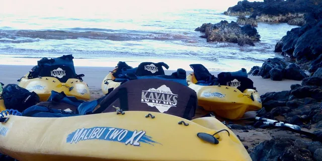Maui Turtle Town Kayak and Snorkel Tour - Image 5
