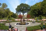 New York City Central Park Walking Tour thumbnail 1