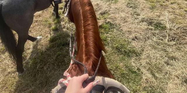 Miami Horseback Riding Tour - Image 2