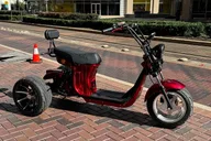 Houston Trike Tour thumbnail 5