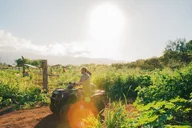Oahu ATV Adventure and Farm Tour thumbnail 5
