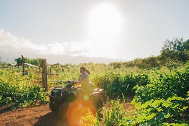 Oahu ATV Adventure and Farm Tour - Image 5