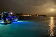 Palm Beach Day Boat Cruise thumbnail 4