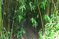 Maui Private Island Tour thumbnail 5