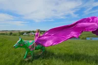Madison Flying Dress Photo Shoot 15 min thumbnail 4
