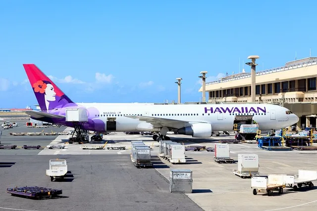 Honolulu Private Transfer by Passenger Van - Image 2