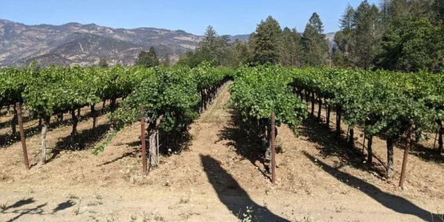 San Francisco Napa and Sonoma Valley Wine Tour - Image 6