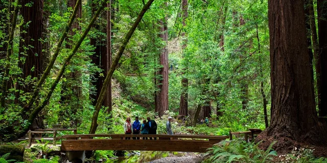 San Francisco Muir Woods & Wine Country Tour with Lunch - Image 3