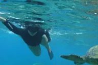 Maui Snorkeling Tour with Gear and Instructor 1.5 hr thumbnail 3