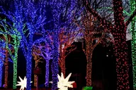 Atlanta Christmas Market and Glow Show Private Tour thumbnail 4