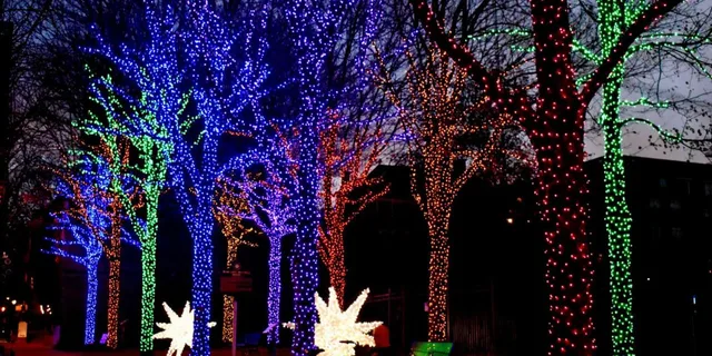 Atlanta Christmas Market and Glow Show Private Tour - Image 4