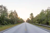 Miami Everglades Private Tour 4 hr thumbnail 5
